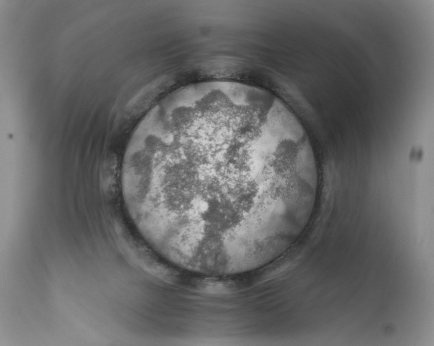 X0000110930073200907091531