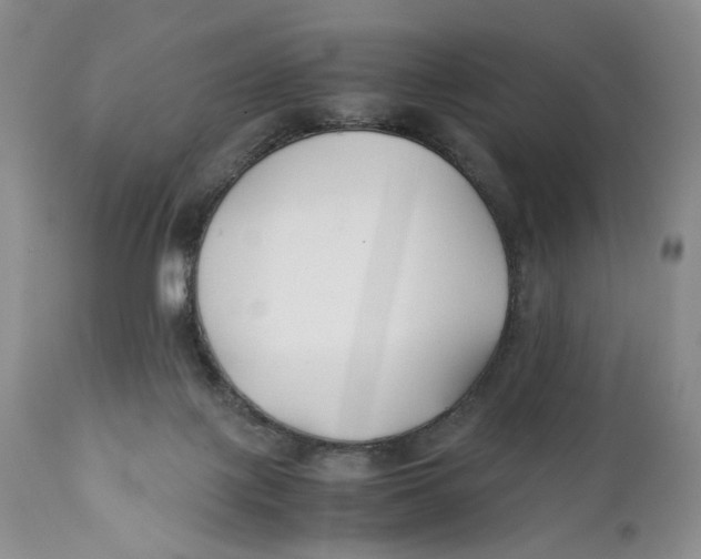X0000110930075200907091531