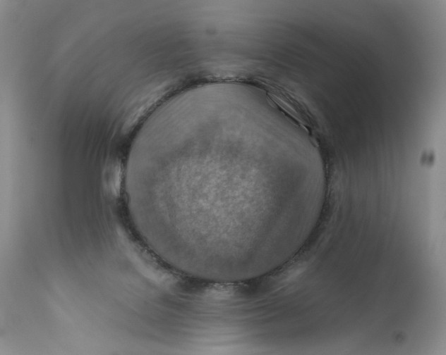 X0000110930076200907091531