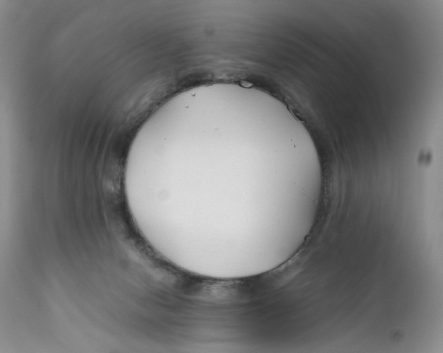 X0000110930078200907091531