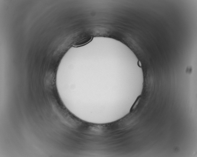 X0000110930079200907091531