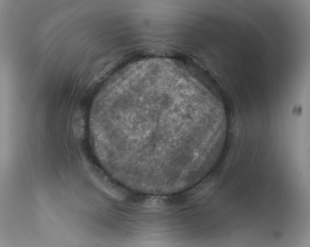 X0000110930080200907091531