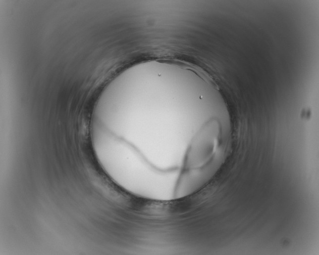 X0000110930084200907091531