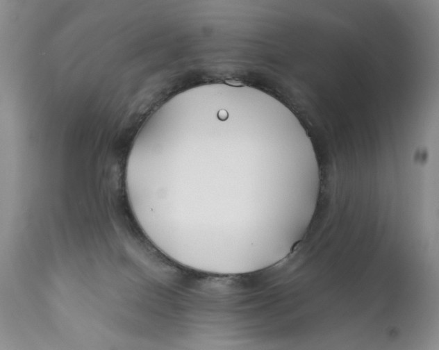 X0000110930086200907091531