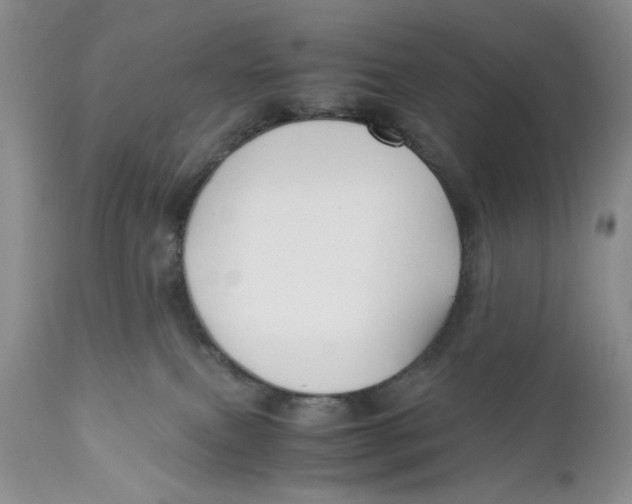X0000110930087200907091531