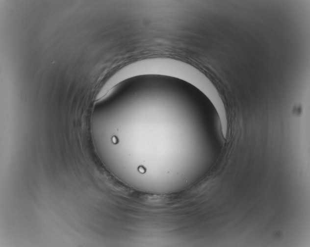 X0000110930088200907091531
