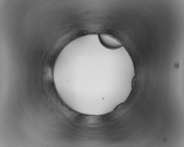 X0000110930089200907091531