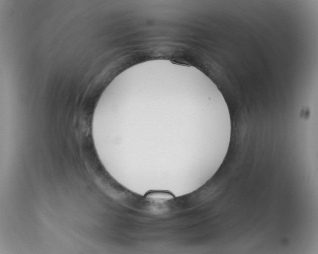 X0000110930091200907091531