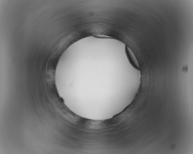 X0000110930093200907091531