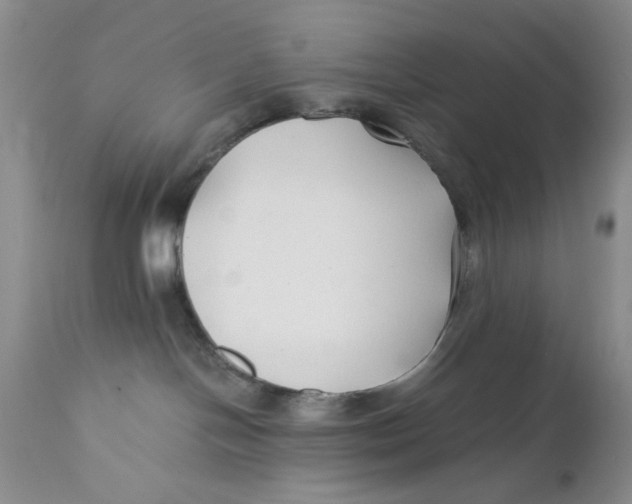 X0000110930094200907091531