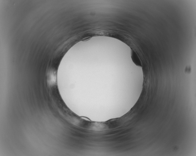 X0000110930095200907091531