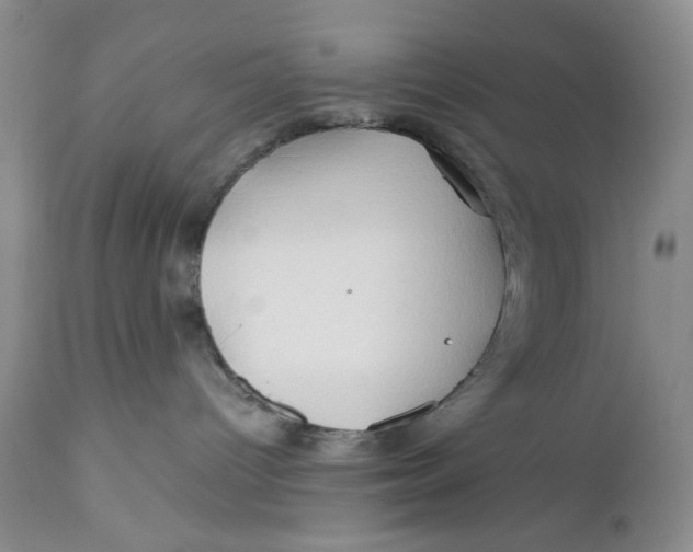 X0000110930096200907091531