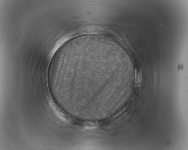X0000110930099200907091530