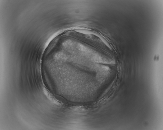X0000110930100200907091530