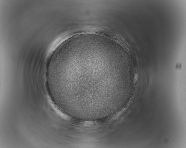 X0000110930101200907091530