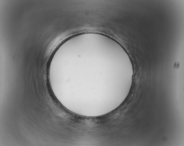 X0000110930103200907091530