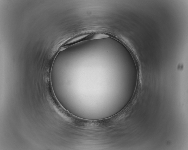 X0000110930105200907091530
