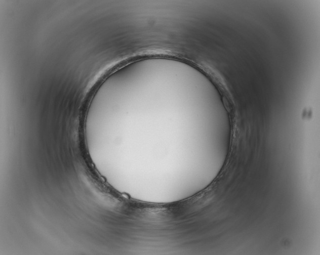 X0000110930108200907091530