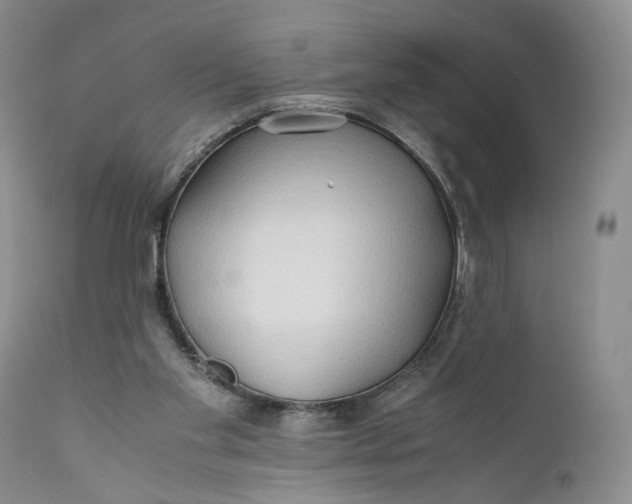 X0000110930109200907091530