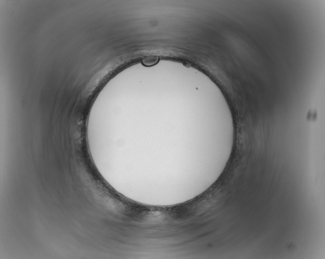 X0000110930111200907091530