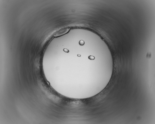 X0000110930112200907091530