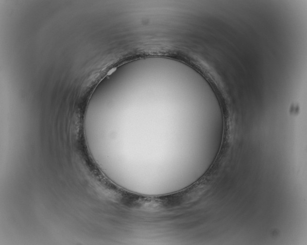 X0000110930113200907091530