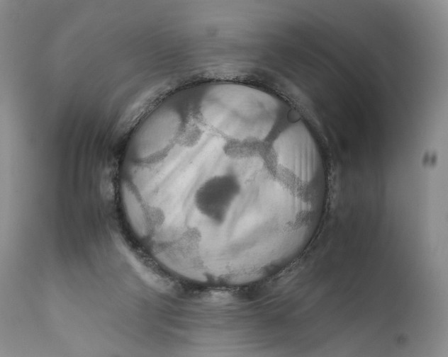 X0000110930114200907091530