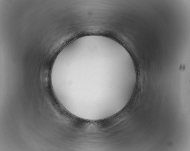 X0000110930115200907091530