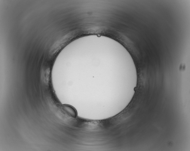 X0000110930118200907091530
