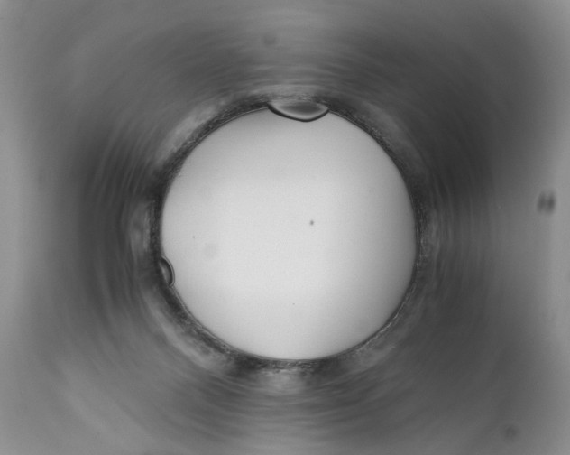 X0000110930120200907091530