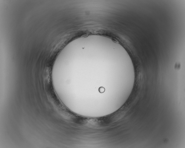 X0000110930121200907091530