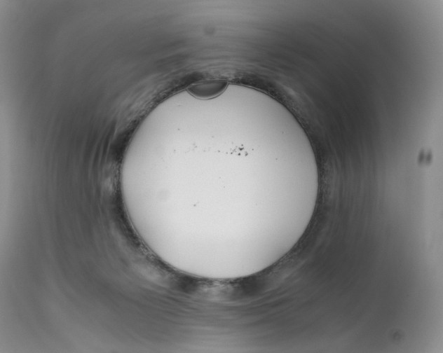 X0000110930125200907091530