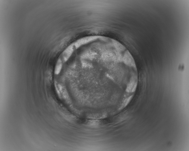 X0000110930127200907091530