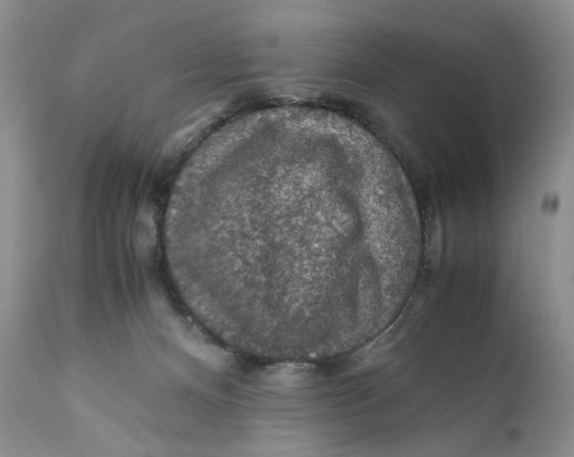 X0000110930128200907091530