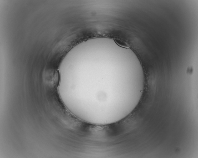 X0000110930129200907091530