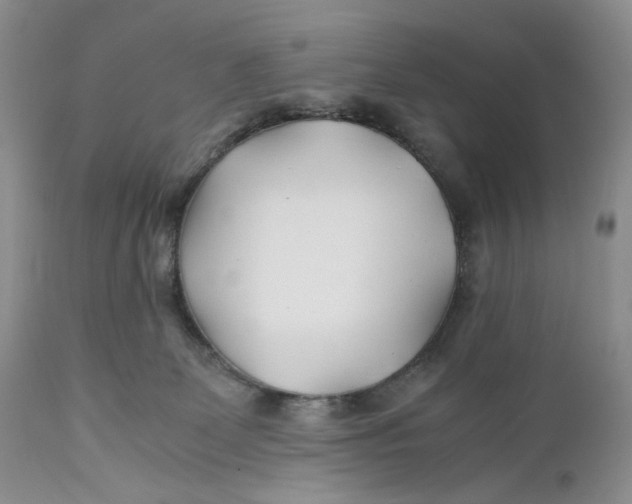 X0000110930131200907091530
