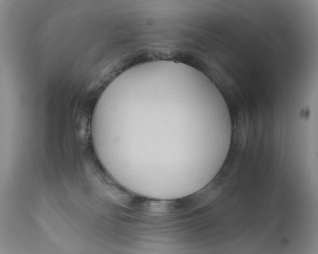 X0000110930134200907091530