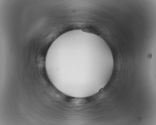 X0000110930135200907091530