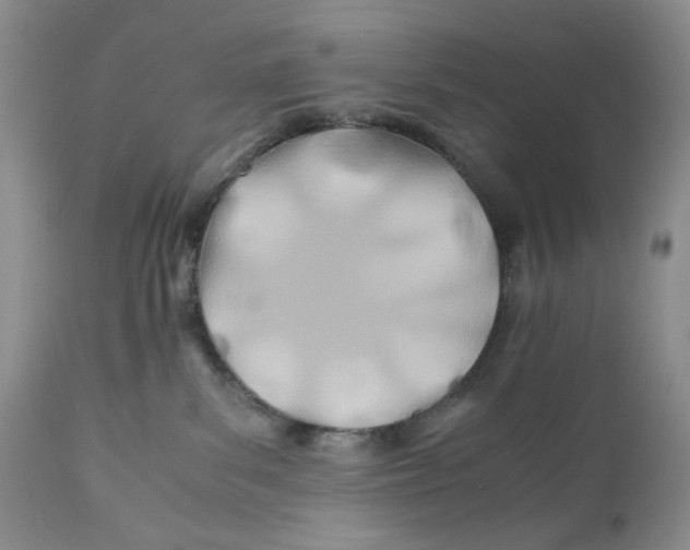 X0000110930139200907091530