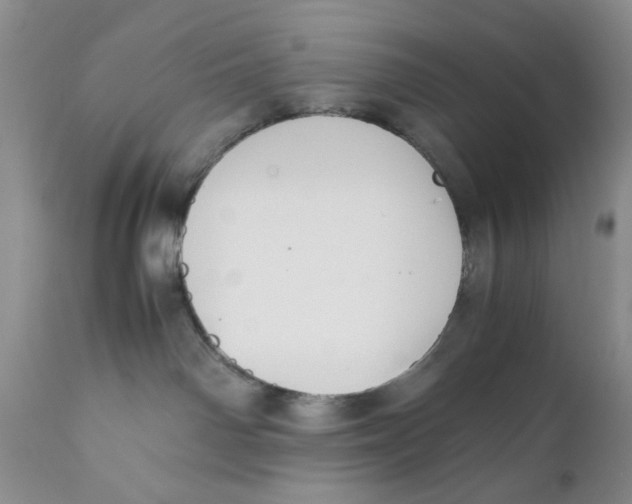 X0000110930142200907091530