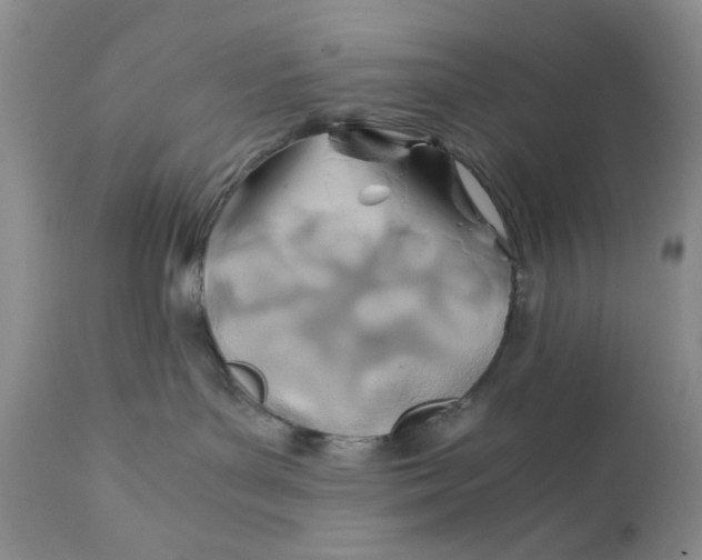 X0000110930143200907091530