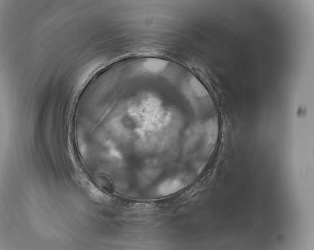X0000110930145200907091529