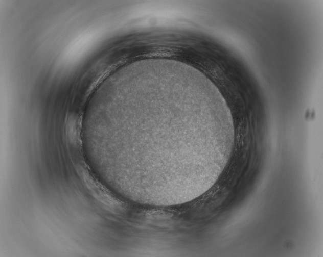 X0000110930146200907091529