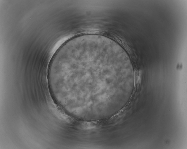 X0000110930147200907091529