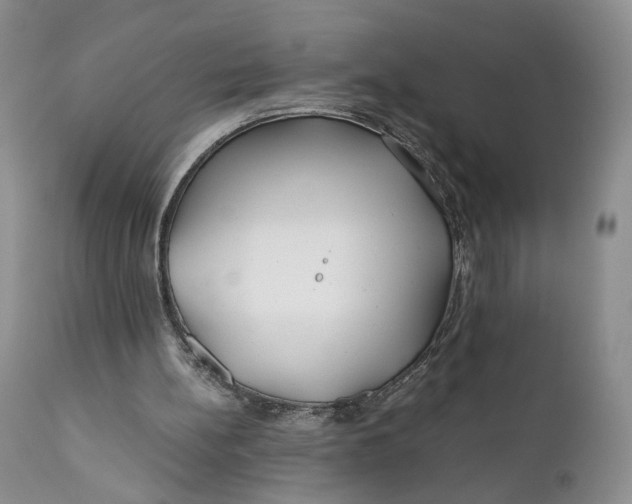 X0000110930148200907091529