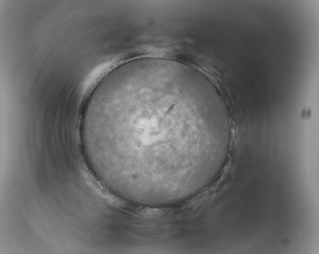 X0000110930149200907091529