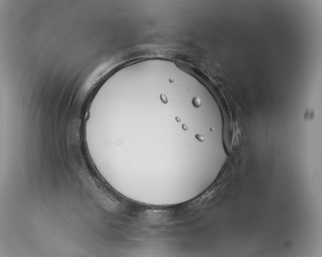 X0000110930150200907091529