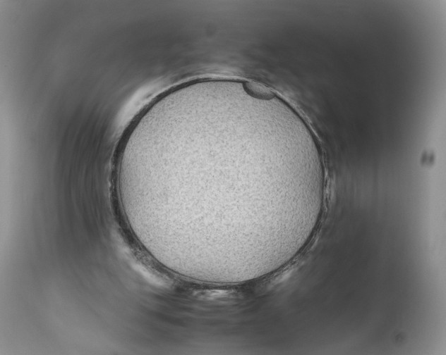 X0000110930151200907091529