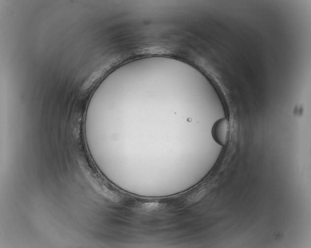 X0000110930153200907091529