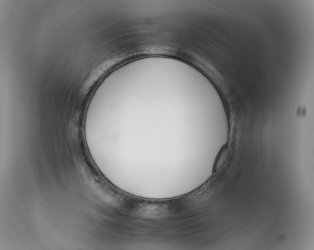 X0000110930155200907091529